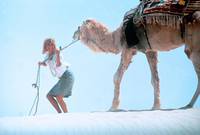 Кадр Протокол