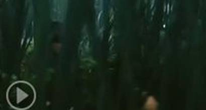 Фрагмент №2