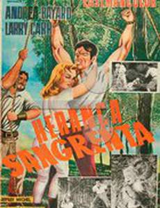 Кровавое наследие