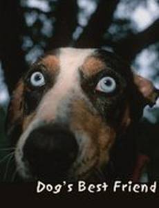 Лучший друг собак