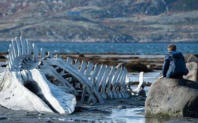 Что смотреть дома на выходных