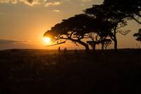 Кадр Путешествие Гектора в поисках счастья