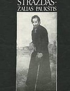 Дрозд – птаха зелёная