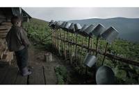 Кадр Жива ватра