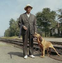 Кадр Парад дураков