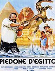 Громила в Египте