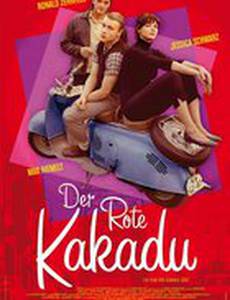 Красный какаду