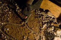 Кадр Прячься!