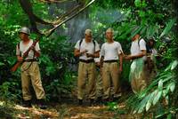 Кадр Красное и белое