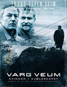 Женщина в холодильнике (видео)