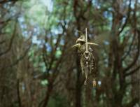 Кадр Мост в Терабитию