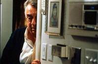 Кадр Магнолия