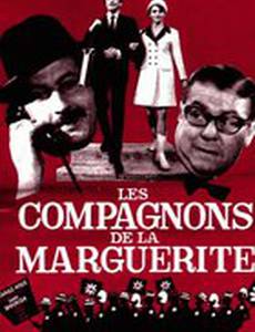 Соратники Маргаритки