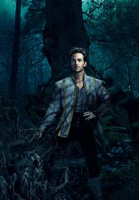 Постер Чем дальше в лес... (В темном-темном лесу)