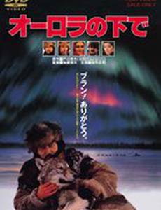 Под северным сиянием