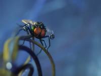 Кадр Миссия Дарвина