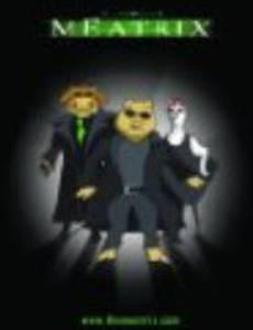 Мясрица (видео)