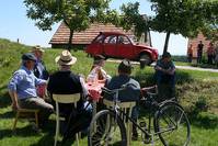 Кадр 2 ягоды