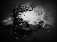 Кадр Пиковая дама