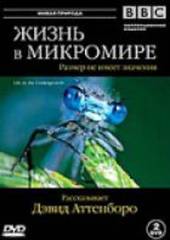 BBC: Жизнь в микромире