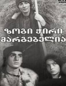 Полуночная бабочка