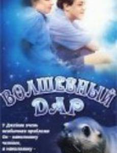 Волшебный дар