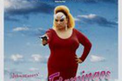 Розовые фламинго