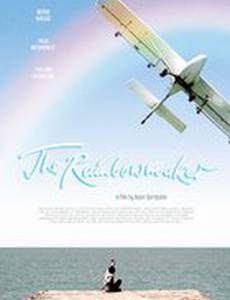 Метеоидиот