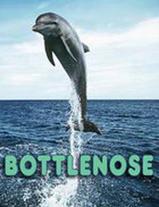 Bottlenose