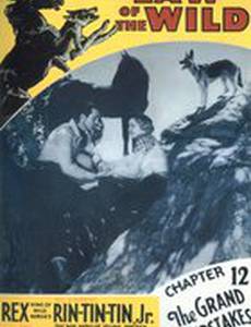 Закон дикой природы