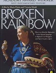 Сломанная радуга