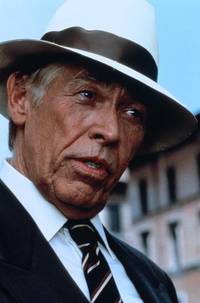 Кадр Гудзонский ястреб