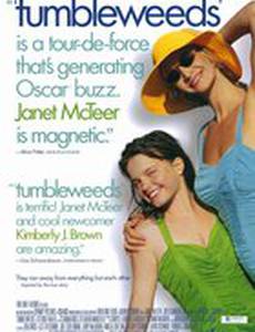 Перекати-поле