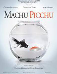 Мачу Пикчу
