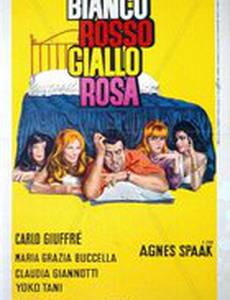 Бело-красно-жёлтая  роза