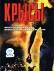 Крысы