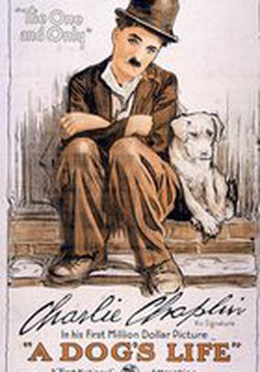 Собачья жизнь