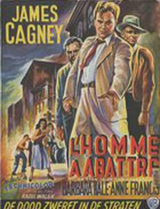 Лев на улицах города