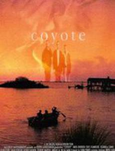 Койот