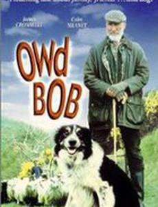 Старина Боб