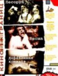 Деревянная комната