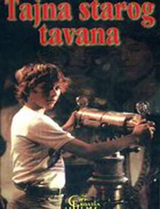 Тайна старого чердака