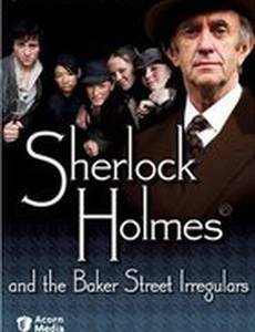 Шерлок Холмс и чумазые сыщики с Бэйкер-стрит
