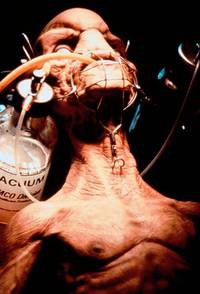 Кадр Экстро 3: Проклятие небес