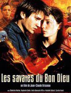 Ангелы Фреда