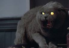 Для новой экранизации Стивена Кинга нашли режиссеров