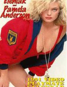 Playboy Video Playmate Calendar 1991 (видео)
