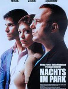 Ночью в парке