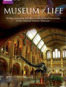 Museum of Life