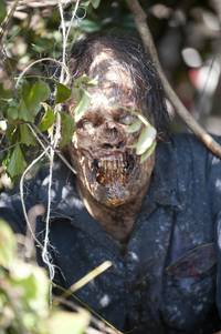 Кадр Ходячие мертвецы